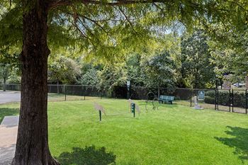 Carrington place at shoal creek - dog park